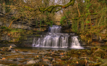 Картинка природа водопады англия cotter force камни ветки hdr лес деревья мох cumbria cotterdale водопал кусты осень