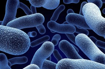Картинка 3д+графика другое+ other бактерии