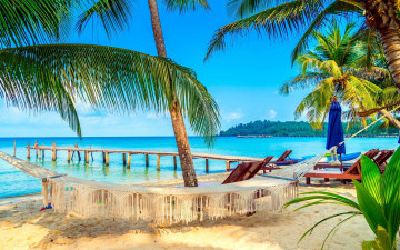 Картинка природа тропики море пляж пальма