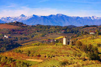 Картинка природа поля виноградник италия дома горы