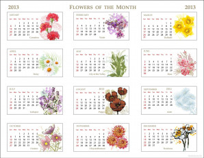 обоя календари, рисованные, векторная, графика, календарь, 2013