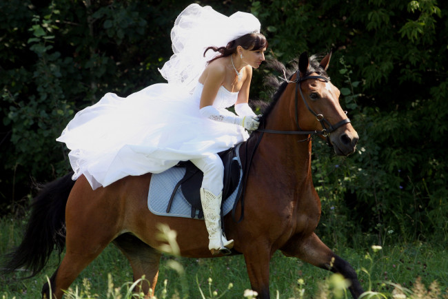 Обои картинки фото -Unsort Брюнетки Шатенки, сбежавшая, невеста, девушки, unsort, брюнетки, шатенки, наездница, всадница, конь, лошадь