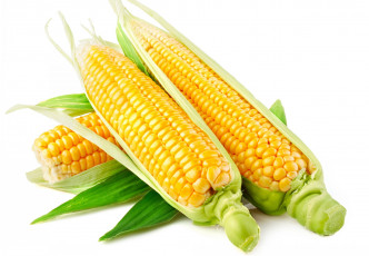 обоя еда, кукуруза, листья, зерна, початки
