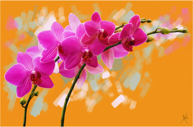 Обои картинки фото рисованные, цветы, холст, орхидеи