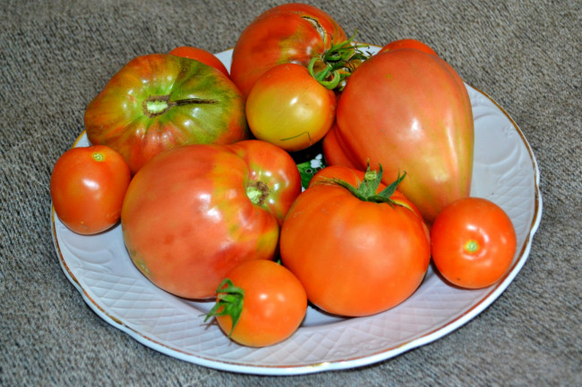 Обои картинки фото еда, помидоры, блюдо, томат, томаты