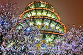 Картинка города -+дворцы +замки +крепости ночь здание огни подсветка деревья цветущие весна