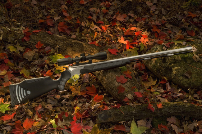 Обои картинки фото оружие, винтовкиружьямушкетывинчестеры, коряги, бревна, лес, листья, винтовка, оптика, осень