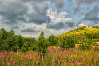 Картинка природа луга облака небо гора деревья луг цветы трава