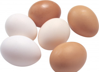 Картинка еда Яйца яйца