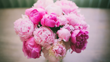 Картинка цветы пионы букет розовые