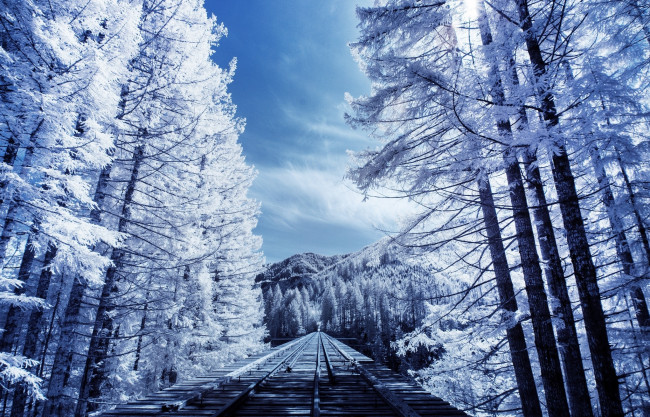 Обои картинки фото разное, транспортные средства и магистрали, рельсы, деревья, снег