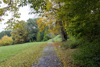 Картинка природа парк осень листопад деревья аллея