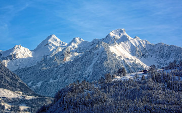 Картинка природа горы лес снежные вершины