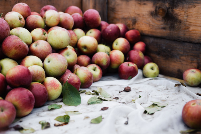 Обои картинки фото еда, Яблоки, яблоки, фрукты