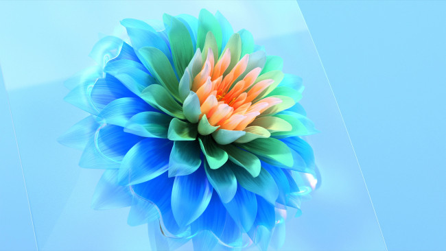 Обои картинки фото 3д графика, цветы , flowers, цветок, георгин