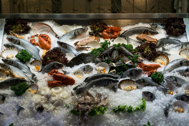 Обои картинки фото еда, рыба,  морепродукты,  суши,  роллы, лед, морепродукты, свежие, ассорти