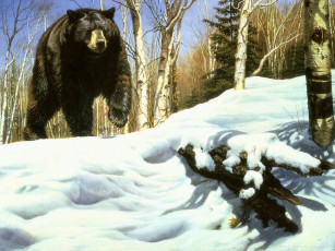 обоя рисованные, животные, медведи