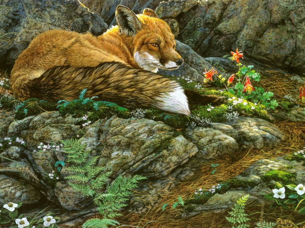 Обои картинки фото рисованные, животные, лисы
