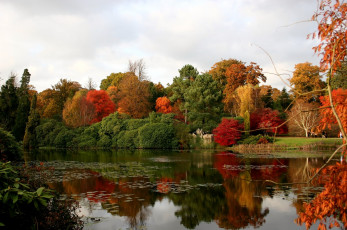 Картинка природа реки озера осень отражение деревья вода
