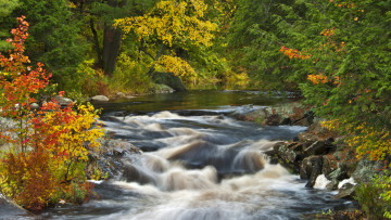Картинка природа реки озера деревья осень река поток