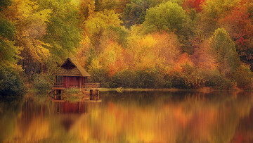Картинка природа реки озера озеро осень деревья