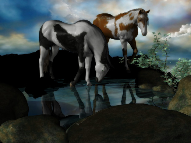 Обои картинки фото 3д, графика, animals, животные, облака, лошади