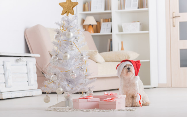 Обои картинки фото животные, собаки, christmas, new, year, праздник, новый, год, рождество, собака