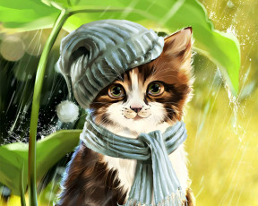 Картинка рисованное животные +коты шапка кот