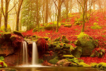 Картинка природа водопады ручей водопад лес