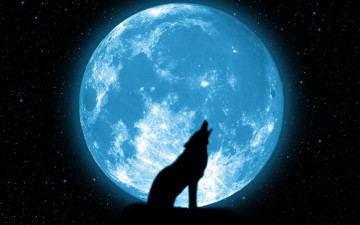 Картинка разное компьютерный+дизайн красиво звезды вой луна волк