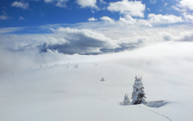 Обои картинки фото природа, зима, пейзаж, снег