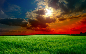 Картинка природа поля небо тучи солнце лучи поле