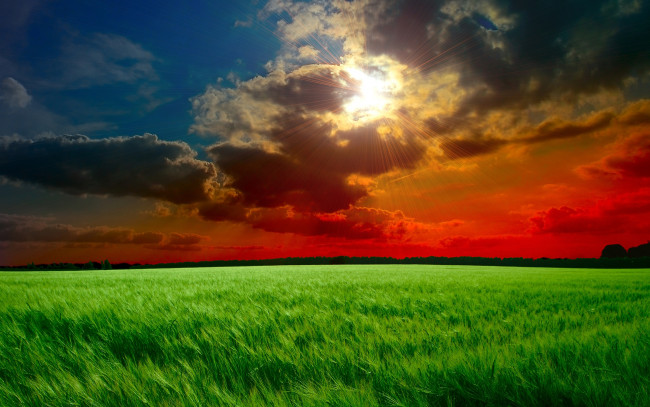 Обои картинки фото природа, поля, небо, тучи, солнце, лучи, поле