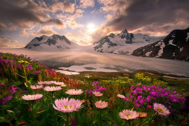 Обои картинки фото природа, луга, облака, небо, ледник, луг, горы, цветы