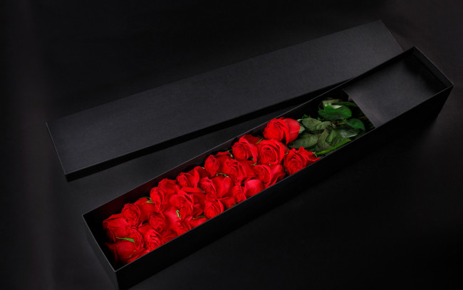 Обои картинки фото цветы, розы, алый, коробка, подарок
