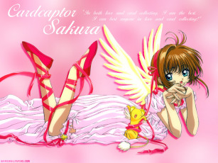 обоя аниме, card, captor, sakura