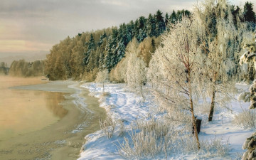 Картинка природа зима фото деревья побережье снег река