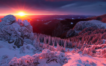 Картинка природа зима горы лес солнце снег