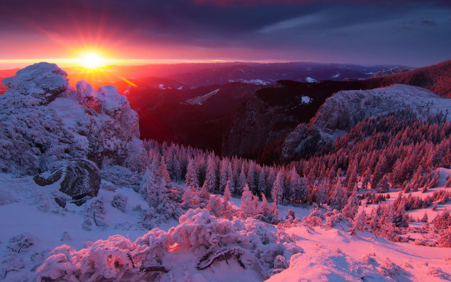 Обои картинки фото природа, зима, горы, лес, солнце, снег