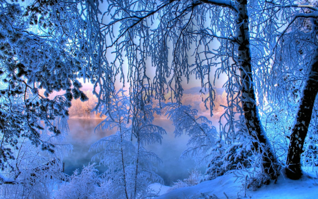 Обои картинки фото природа, зима, иней, мороз, озеро, лес, утро, снег