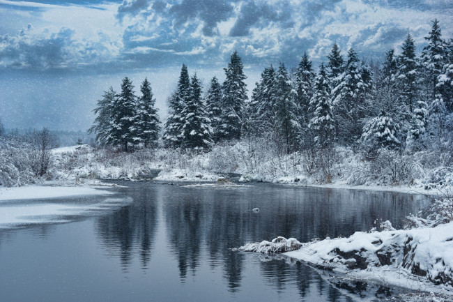 Обои картинки фото природа, зима, озеро, деревья, лес, снег