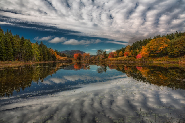 Обои картинки фото природа, реки, озера, озеро, лес, осень, отражение, река