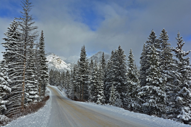 Обои картинки фото природа, зима, дорога, banff, national, park
