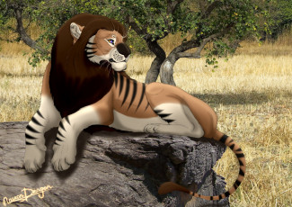 Картинка рисованное животные +львы взгляд лев