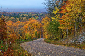 Картинка природа дороги лес осень шоссе