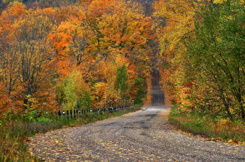 обоя природа, дороги, осень, шоссе, лес