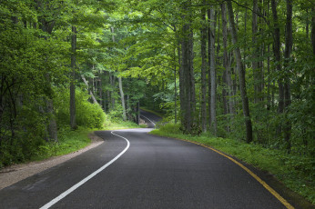 обоя природа, дороги, шоссе, лес