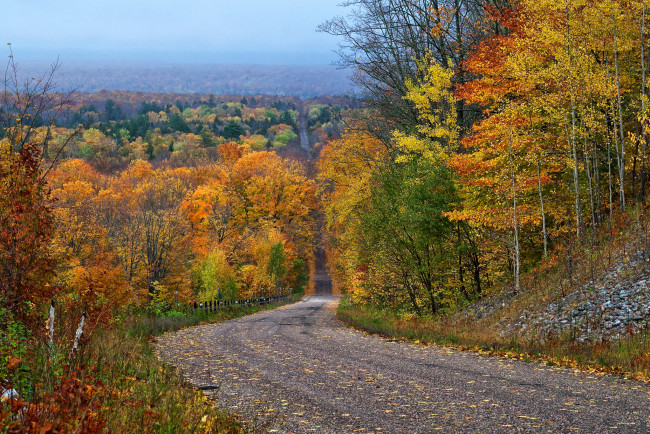 Обои картинки фото природа, дороги, лес, осень, шоссе