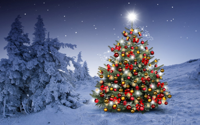 Обои картинки фото праздничные, Ёлки, merry, christmas, новогодняя, елка, снежинки, новый, год, snow, зима, night, decoration, елки, снег, украшения, happy, tree, шары, рождество, winter