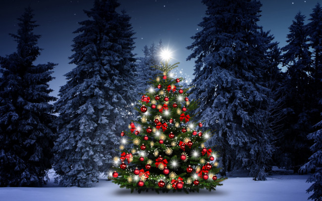 Обои картинки фото праздничные, Ёлки, снег, елки, украшения, happy, christmas, night, новый, год, snow, зима, decoration, merry, новогодняя, елка, снежинки, tree, шары, winter, рождество